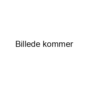 Udgående varer